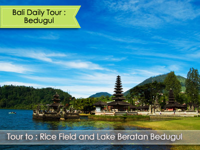 BEDUGUL_-_Daily_Bali_Tours